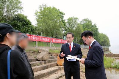 哪里能買到10厘米左右的龍魚苗（如何購買10厘米左右的龍魚苗）
