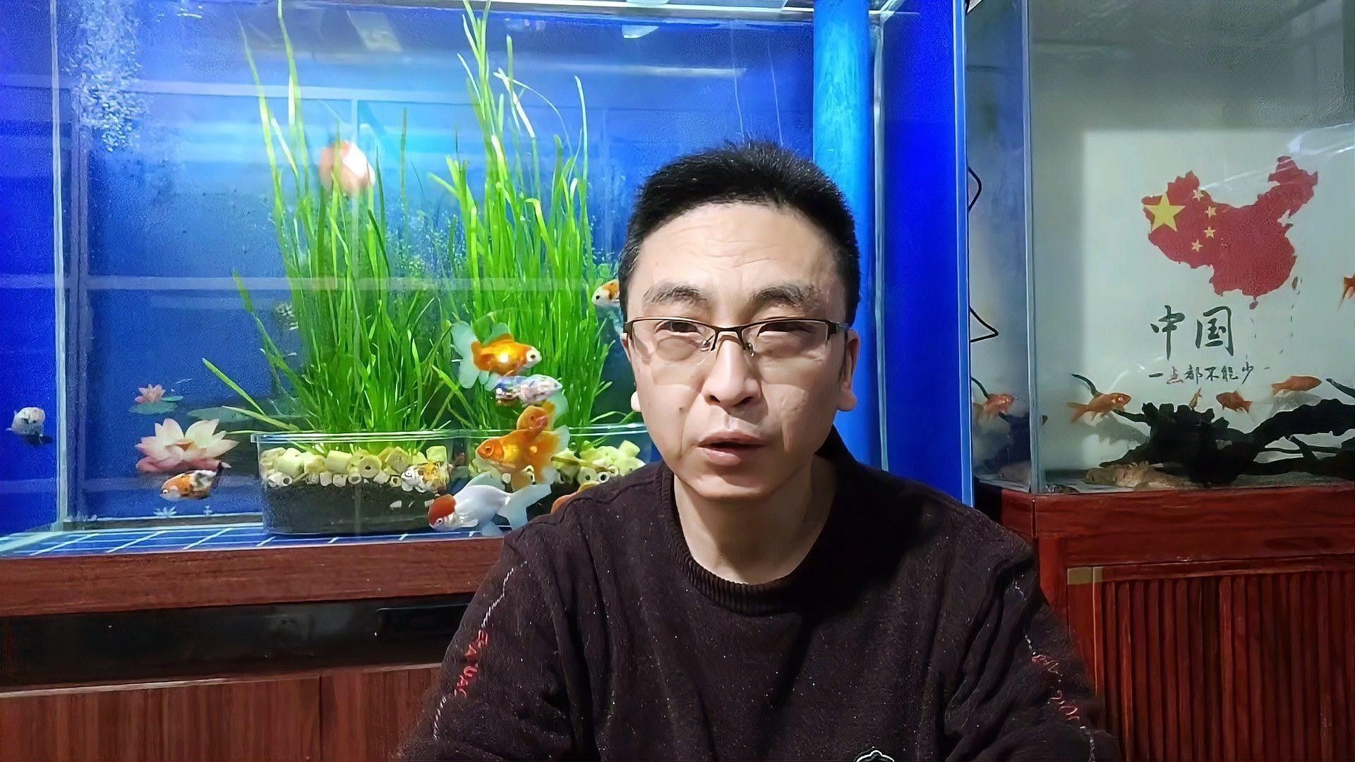 蝴蝶鯉和龍魚哪個貴些