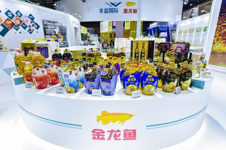 撫州龍魚專賣店