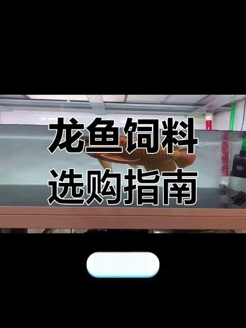 龍魚可以吃海水魚嗎圖片