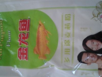 金龍魚(yú)便宜了：揭秘金龍魚(yú)繁殖全過(guò)程
