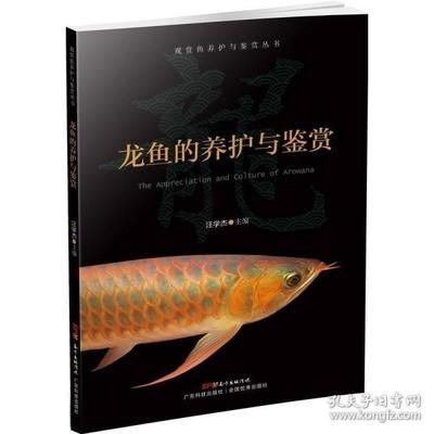 龍魚的養殖與鑒賞：龍魚養殖與鑒賞