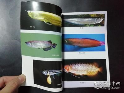 龍魚的養殖與鑒賞：龍魚養殖與鑒賞