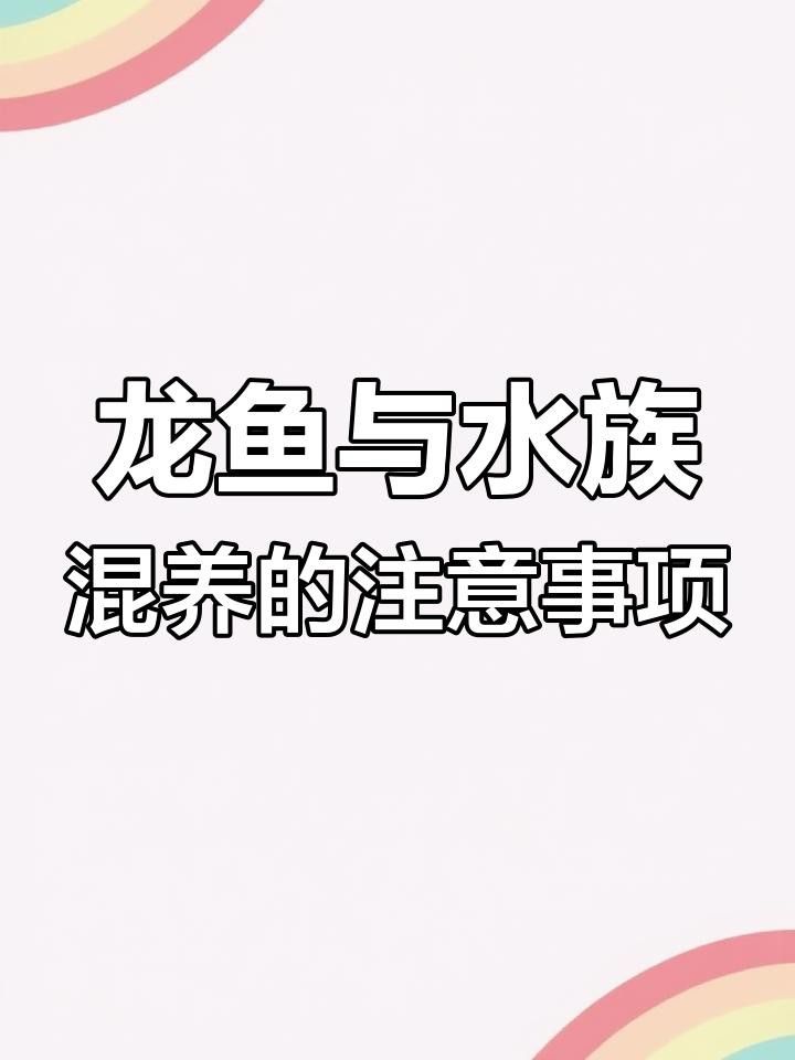 混養紅龍和金龍需要多大的魚缸？