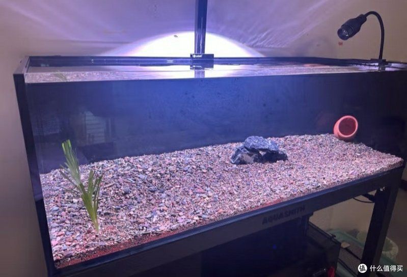 老魚匠價格貴的原因