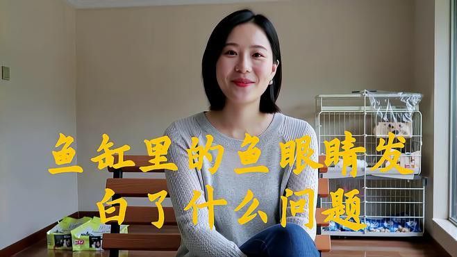 如何預防龍魚眼白點的發生？