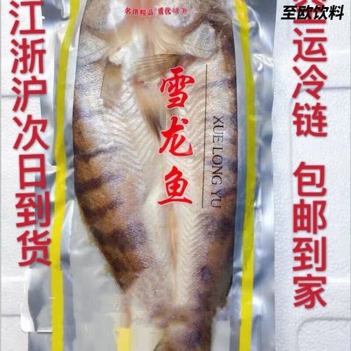 雪龍魚圖片價格大全圖
