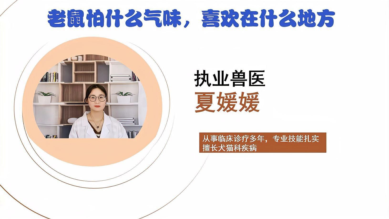 老鼠怕什么氣味一聞就跑