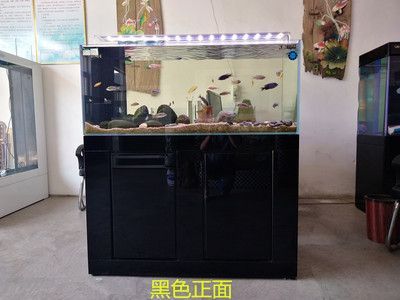 鑫德龍魚缸：保定鑫德龍魚缸的優勢