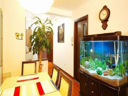 辦公室魚缸放在哪里最招財，辦公室魚缸養護的風水技巧
