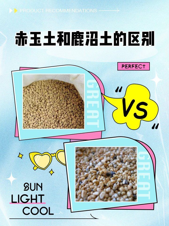 鹿沼土和赤玉土有啥區(qū)別 鹿沼土和赤玉土有啥區(qū)別 龍魚百科 第1張