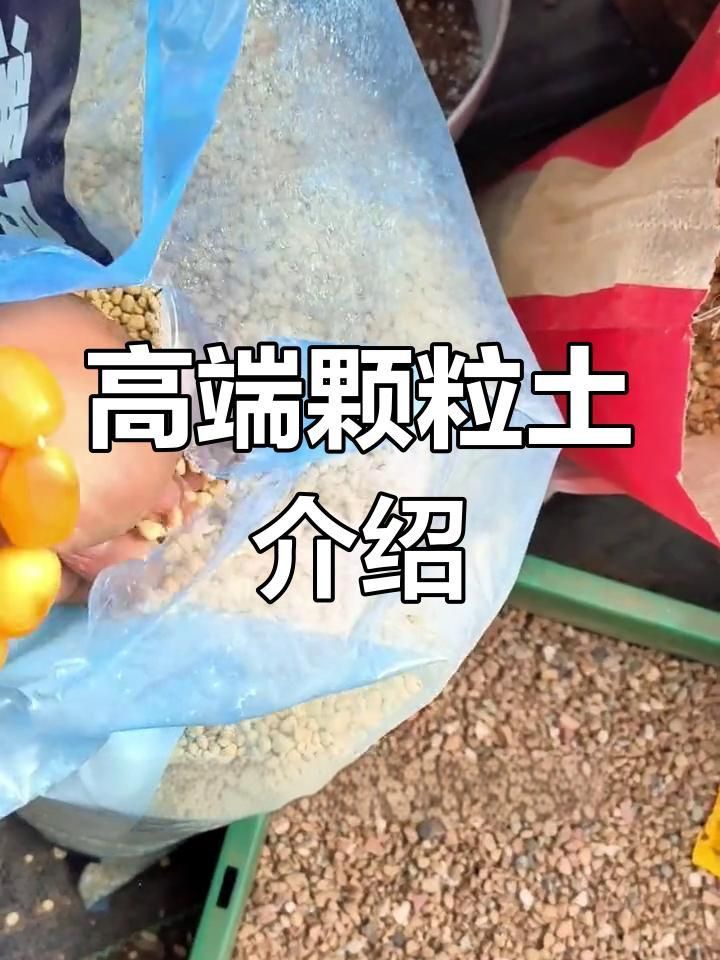 鹿沼土和赤玉土有啥區(qū)別 鹿沼土和赤玉土有啥區(qū)別 龍魚百科 第7張