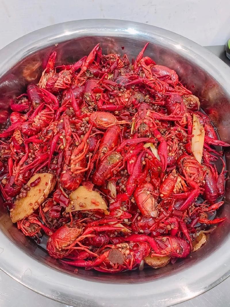 有沒有高清的龍蝦圖片？