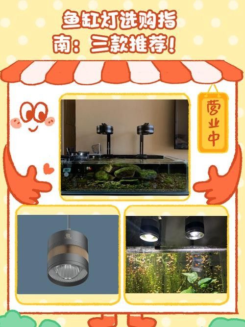 龍魚缸燈光怎么放比較好圖片