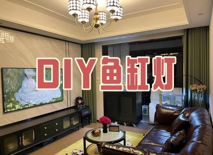 龍魚缸燈光怎么放比較好圖片