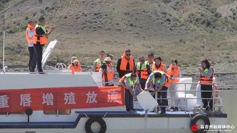 昌吉回族自治州龍魚養(yǎng)殖基地在哪里啊多少錢