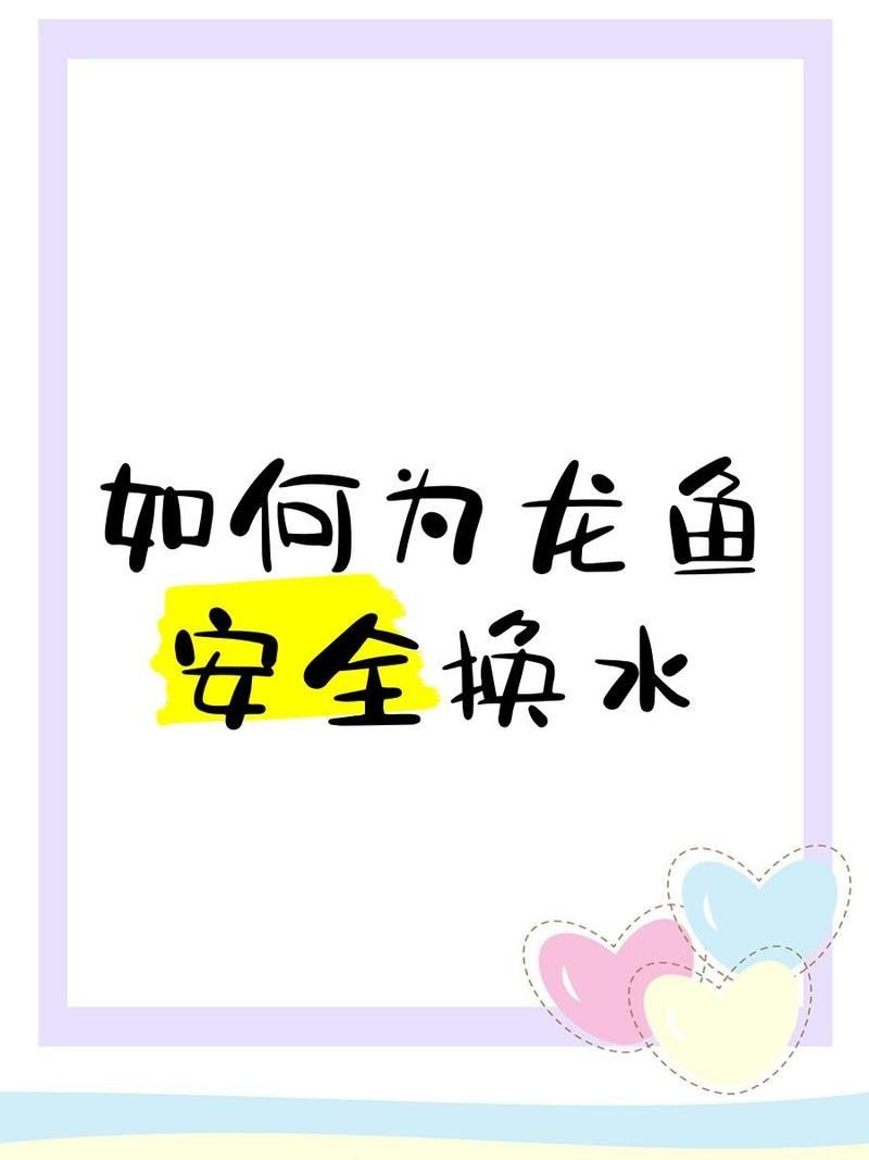 龍魚數量調整后多久換水？
