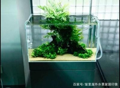 1.5米魚缸簡單造景（5米魚缸造景技巧魚缸造景水草養護要點適合5米魚缸的魚類推薦）