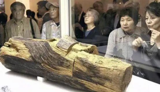 龍魚炒作騙局曝光：如何辨別龍魚市場真偽