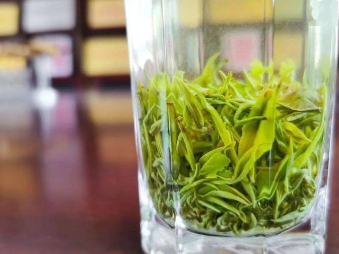 金龍系列茶葉有哪些知名品種？
