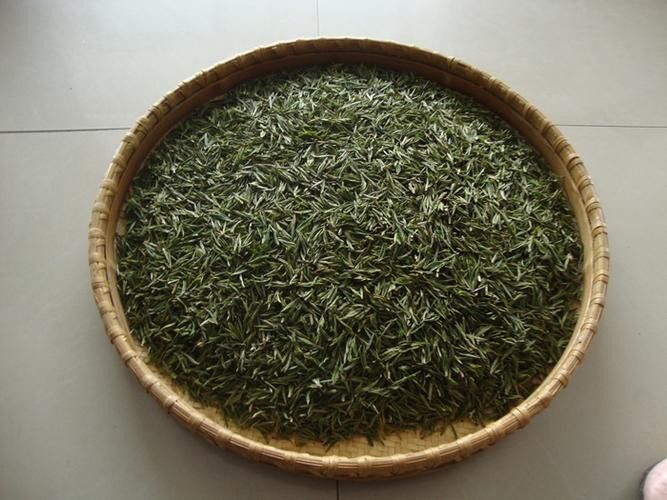 金龍系列茶葉有哪些知名品種？