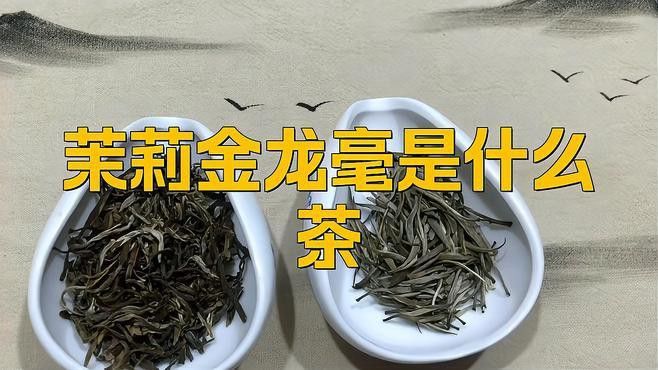 金龍系列茶葉有哪些知名品種？