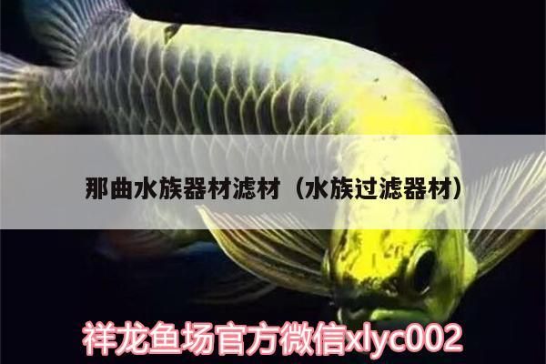 那曲<strong><mark>水族器材</mark></strong>濾材（水族過(guò)濾器材）