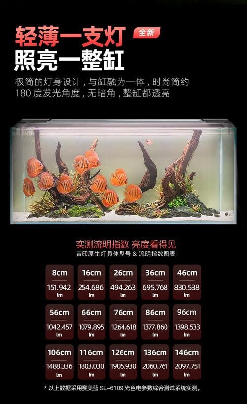 紅龍魚燈光位置擺放圖片視頻