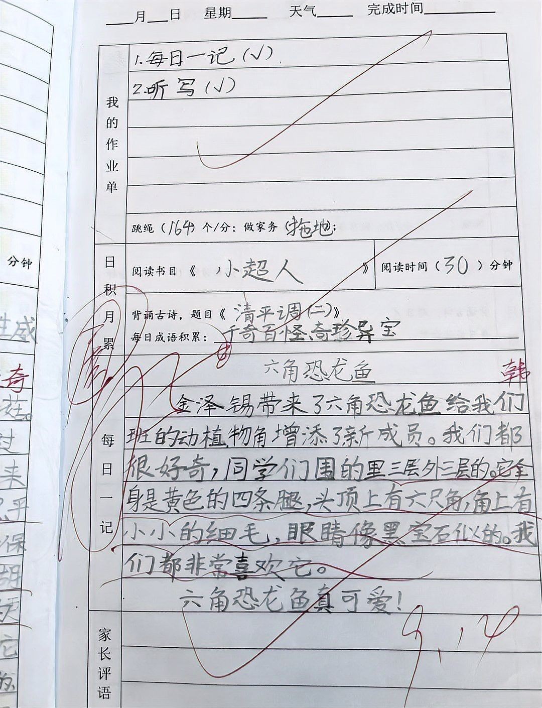 養六角恐龍魚注意事項有哪些