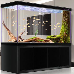 大型落地魚缸（落地魚缸適合養哪些魚）