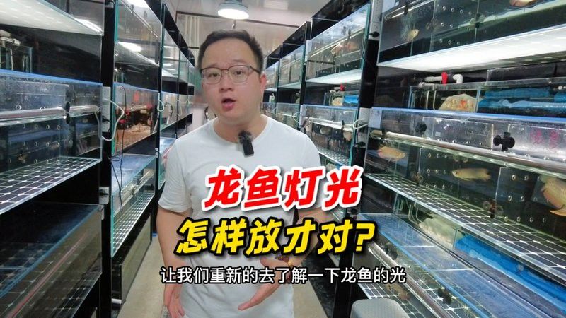 金龍魚魚缸燈如何擺放