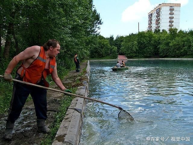 三間魚繁殖期光照管理策略：三間魚繁殖期光照對水質影響，三間魚繁殖期光照管理案例