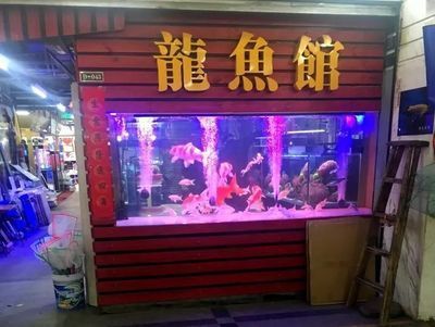 賣龍魚的店叫什么店鋪名稱：賣龍魚的店鋪名稱