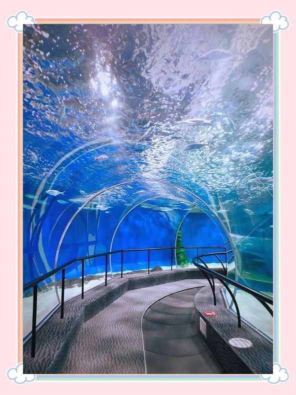 龍魚水族館鳳嶼路幾點開門