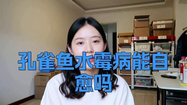 龍魚水霉病會(huì)自愈嗎