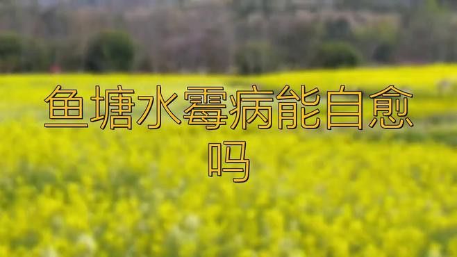 龍魚水霉病會(huì)自愈嗎