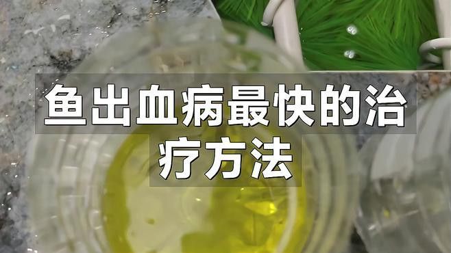 龍魚充血和物理刮傷如何治療？
