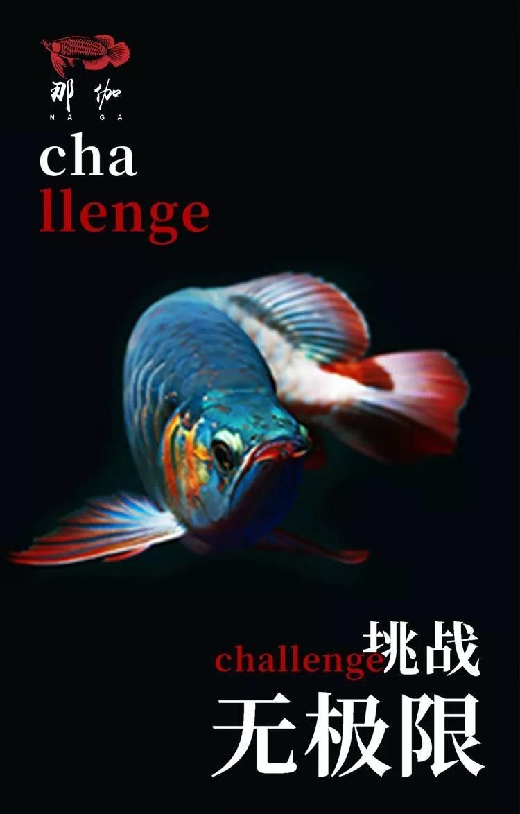 龍魚駝背恢復需要多長時間？
