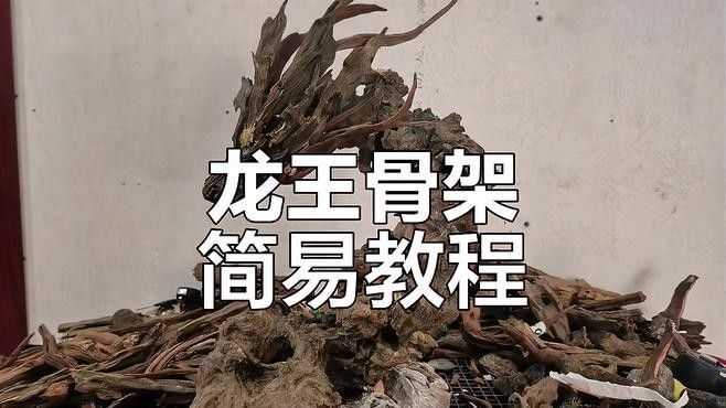 龍魚 沉木