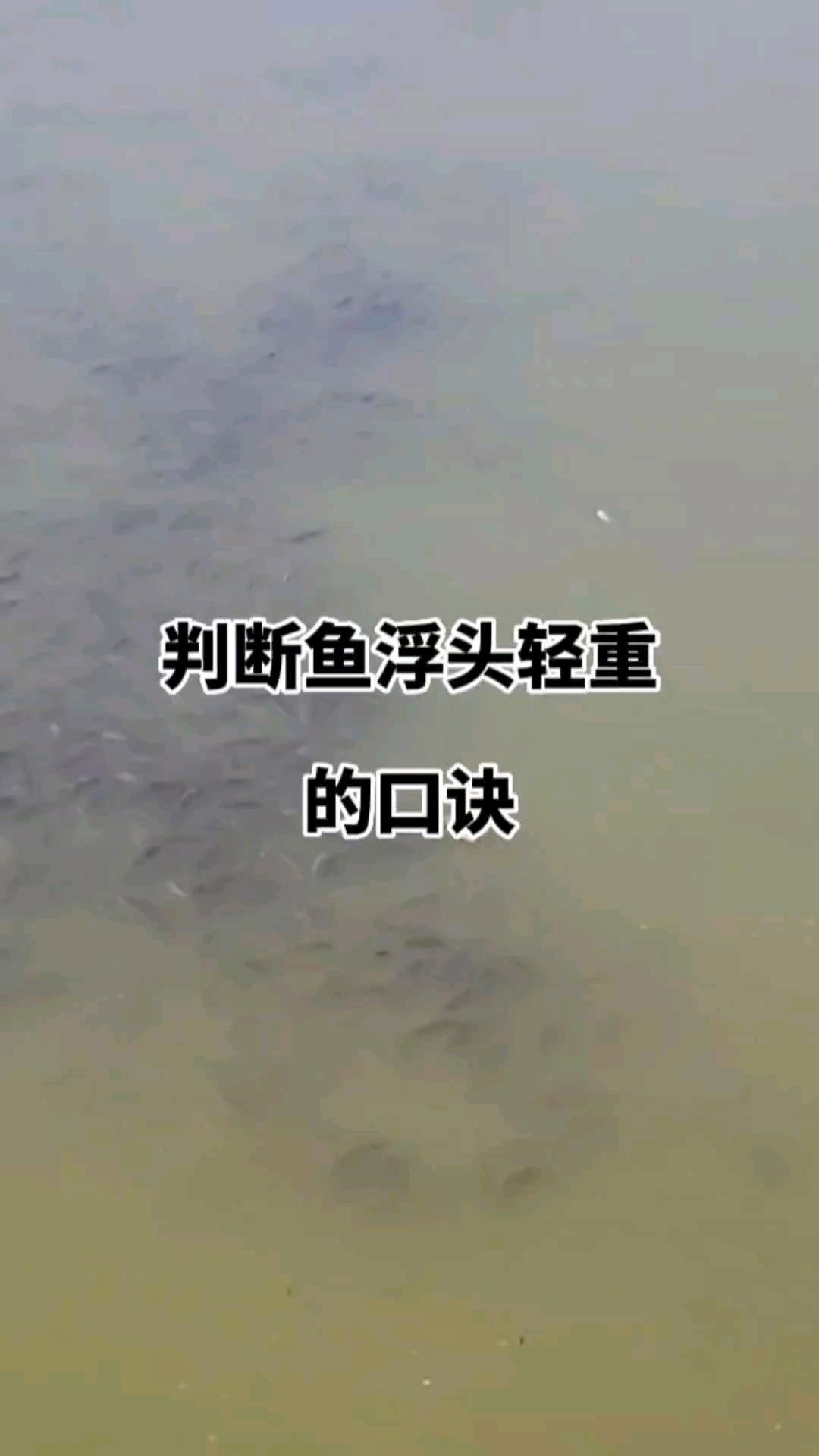 如何判斷魚浮頭是否嚴重？