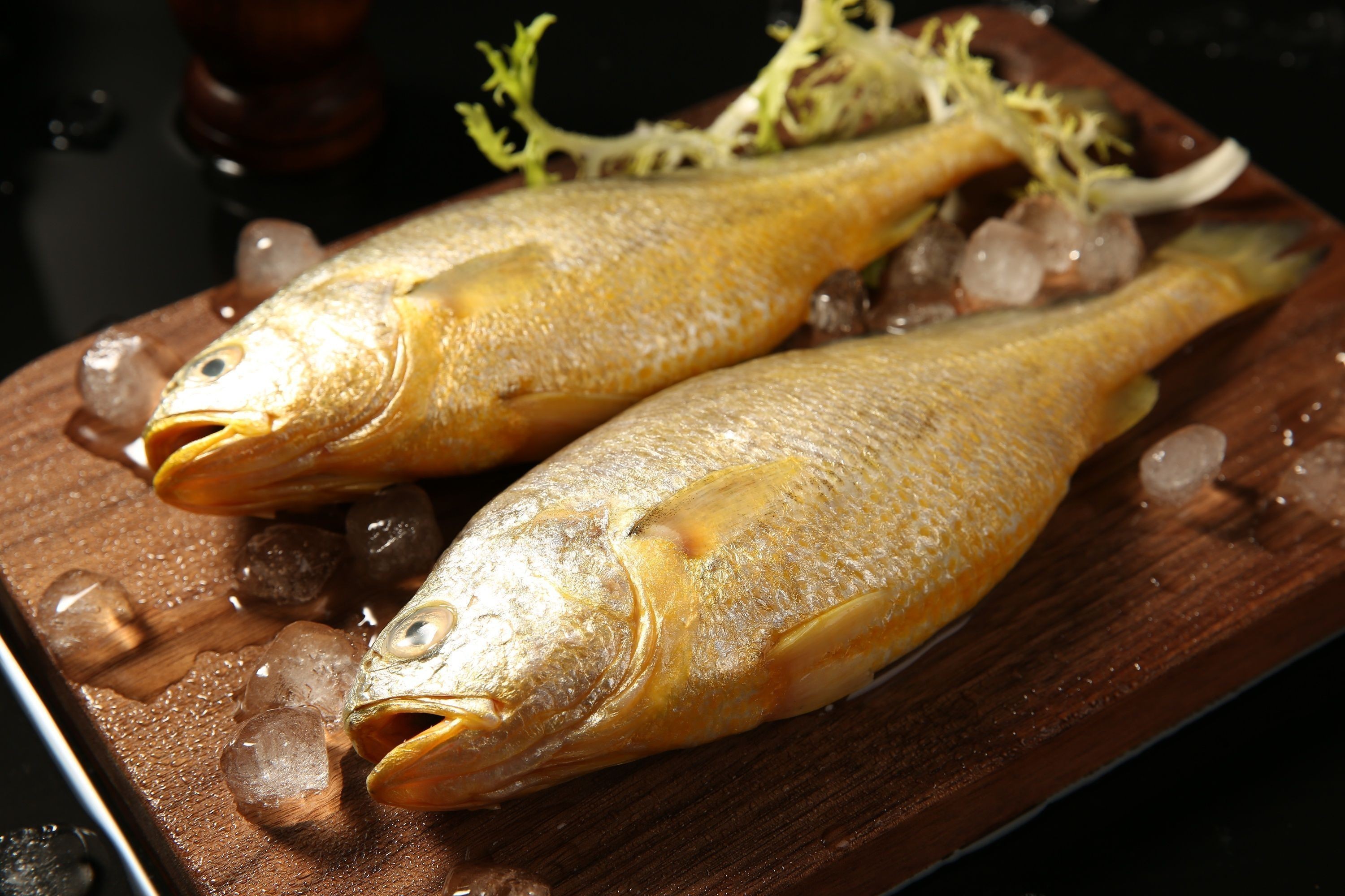 黃花魚跟金龍魚一樣嗎：黃花魚和金龍魚并不是同一種魚類，它們之間存在一些明顯的區別