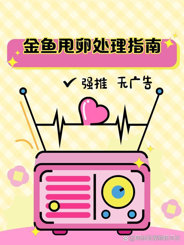 錦鯉甩籽后怎么處理魚缸