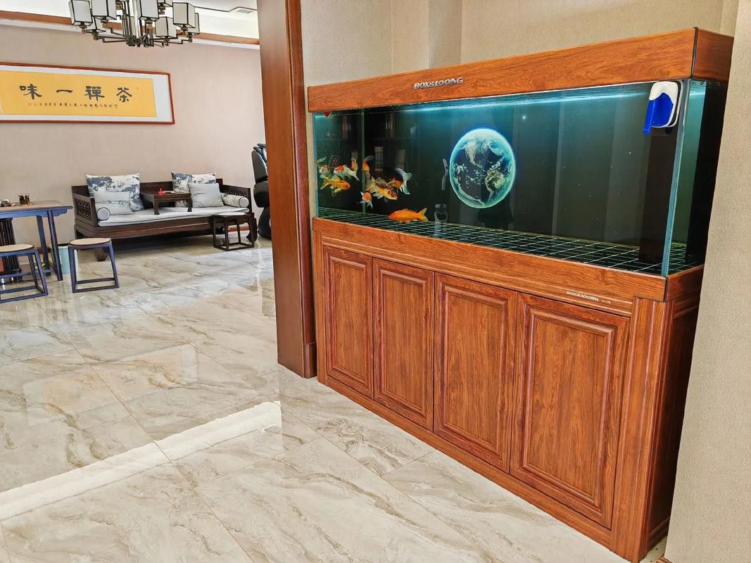 博世龍魚缸連鎖店怎么樣 博世龍魚缸連鎖店怎么樣 龍魚百科 第6張