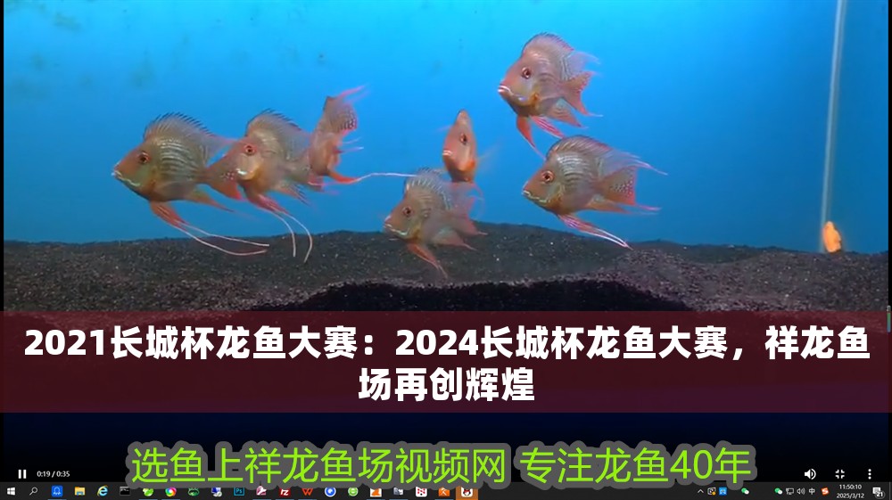 2021長城杯龍魚大賽：2024長城杯龍魚大賽，祥龍魚場再創輝煌