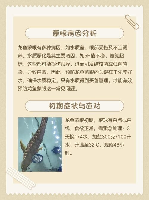 龍魚蒙眼是怎么回事啊圖片