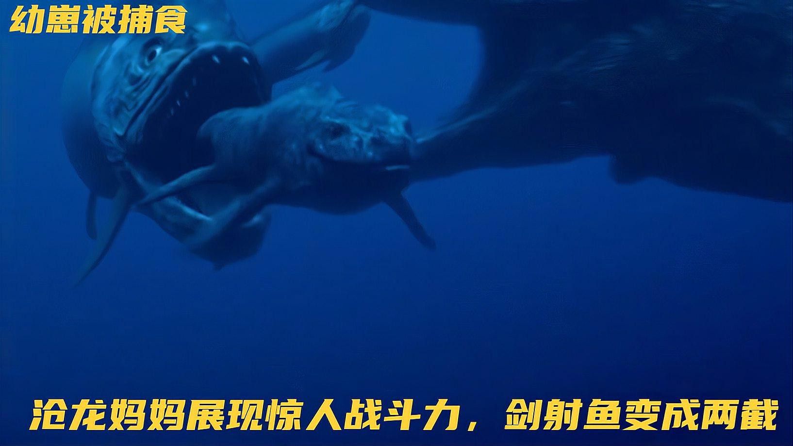 滄龍是如何捕食的？ 滄龍是如何捕食的？ 龍魚百科 第4張