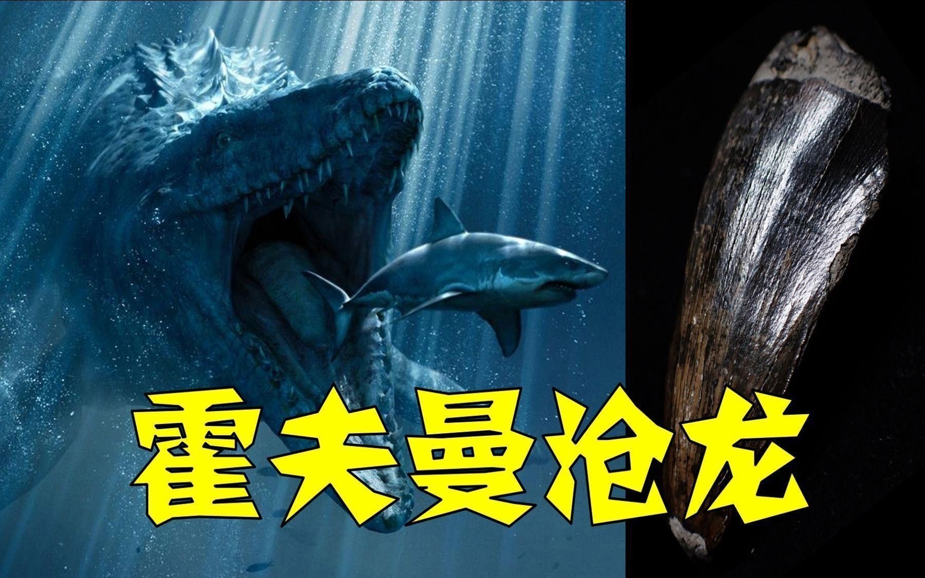 滄龍是如何捕食的？ 滄龍是如何捕食的？ 龍魚百科 第6張