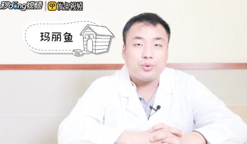 金龍魚的魚缸應該放什么魚清理魚缸（金龍魚日常飲食指南，）