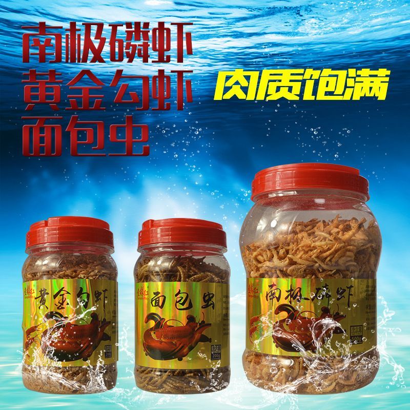 龍魚吃魚糧到底好不好呢怎么喂，龍魚可以吃魚糧嗎？