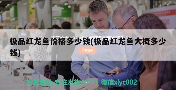 紅龍魚50厘米價(jià)格多少錢一條：50厘米的紅龍魚價(jià)格是多少？